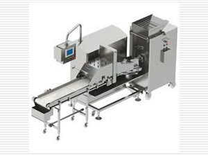 �g��C���a�� [WMG-P22C/WPG-CCV]